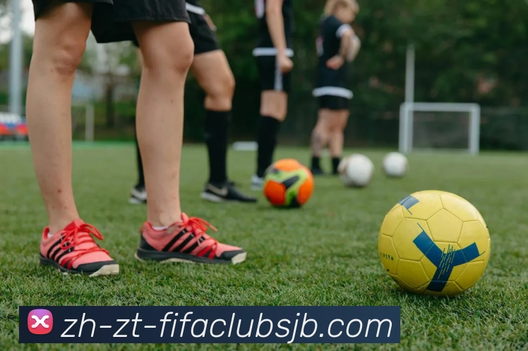 世界杯赛程服务体系