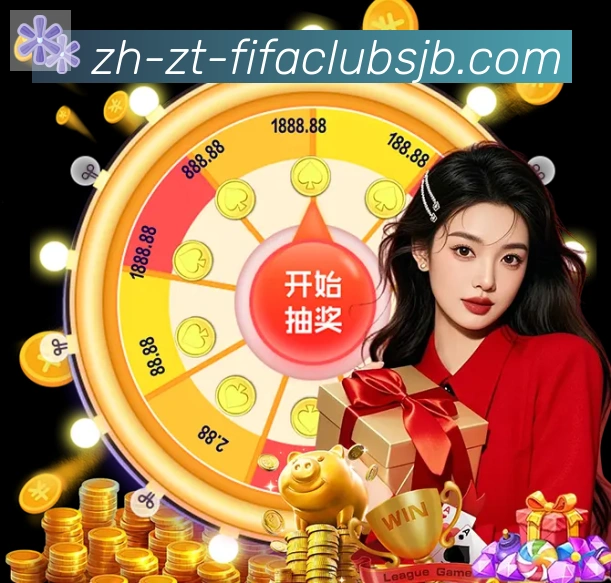 未来规划